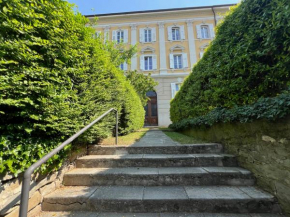 Vignola 6 Trieste